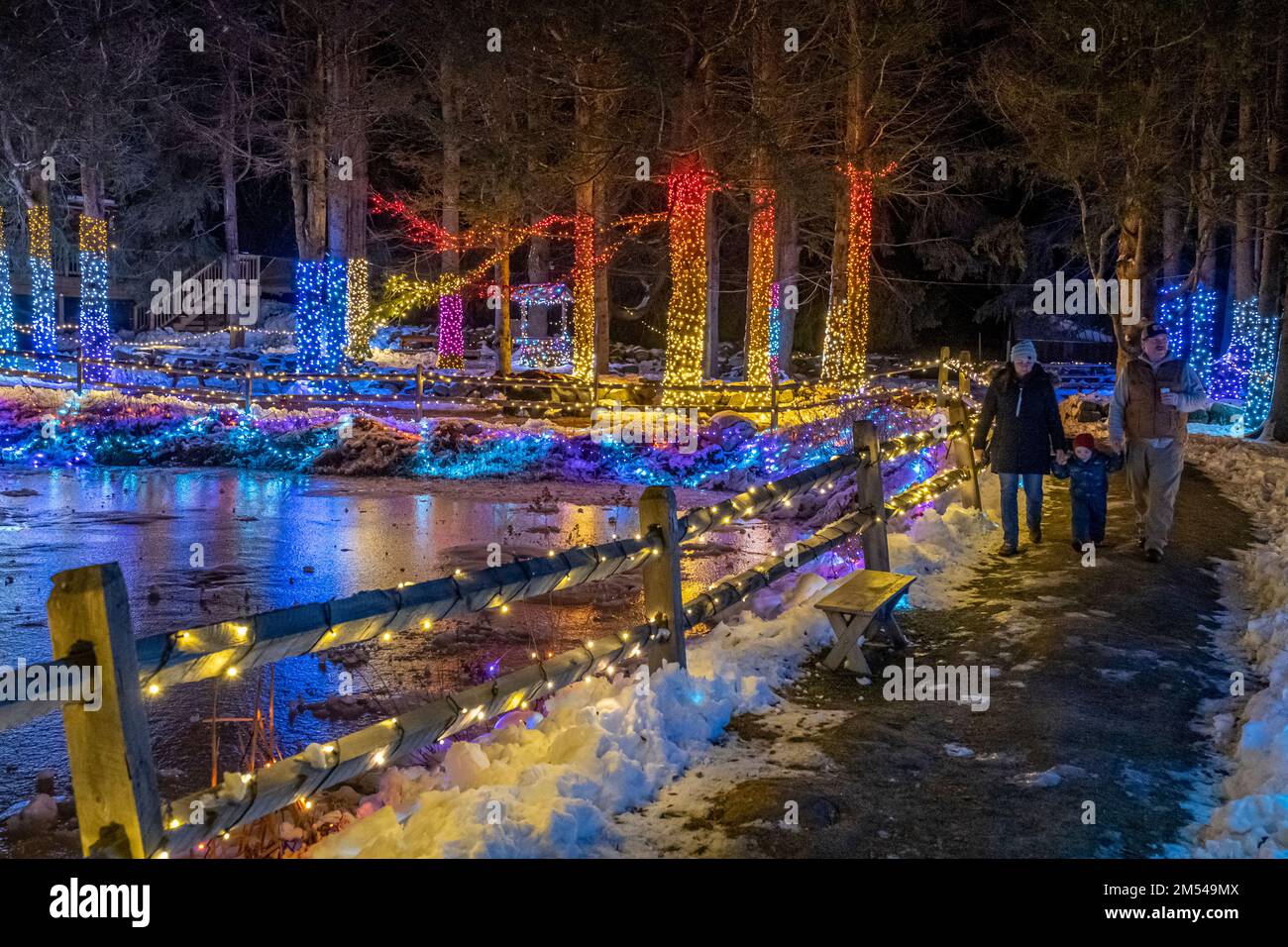 Winterlichter auf der Red Apple Farm in Phillipston, Massachusetts Stockfoto