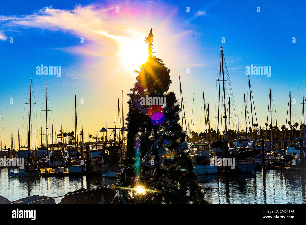Santa Barbara, Kalifornien, USA 25. Dezember 2022. Ein Weihnachtsbaum auf einem Sandspieß wird von der Sonne beleuchtet: Er sieht magisch aus, wenn er den wunderschönen Hafen von Santa Barbara an einem gemäßigten, blauen Weihnachtsfeiertag betritt. (Kreditbild: © Amy Katz/ZUMA Press Wire) Stockfoto