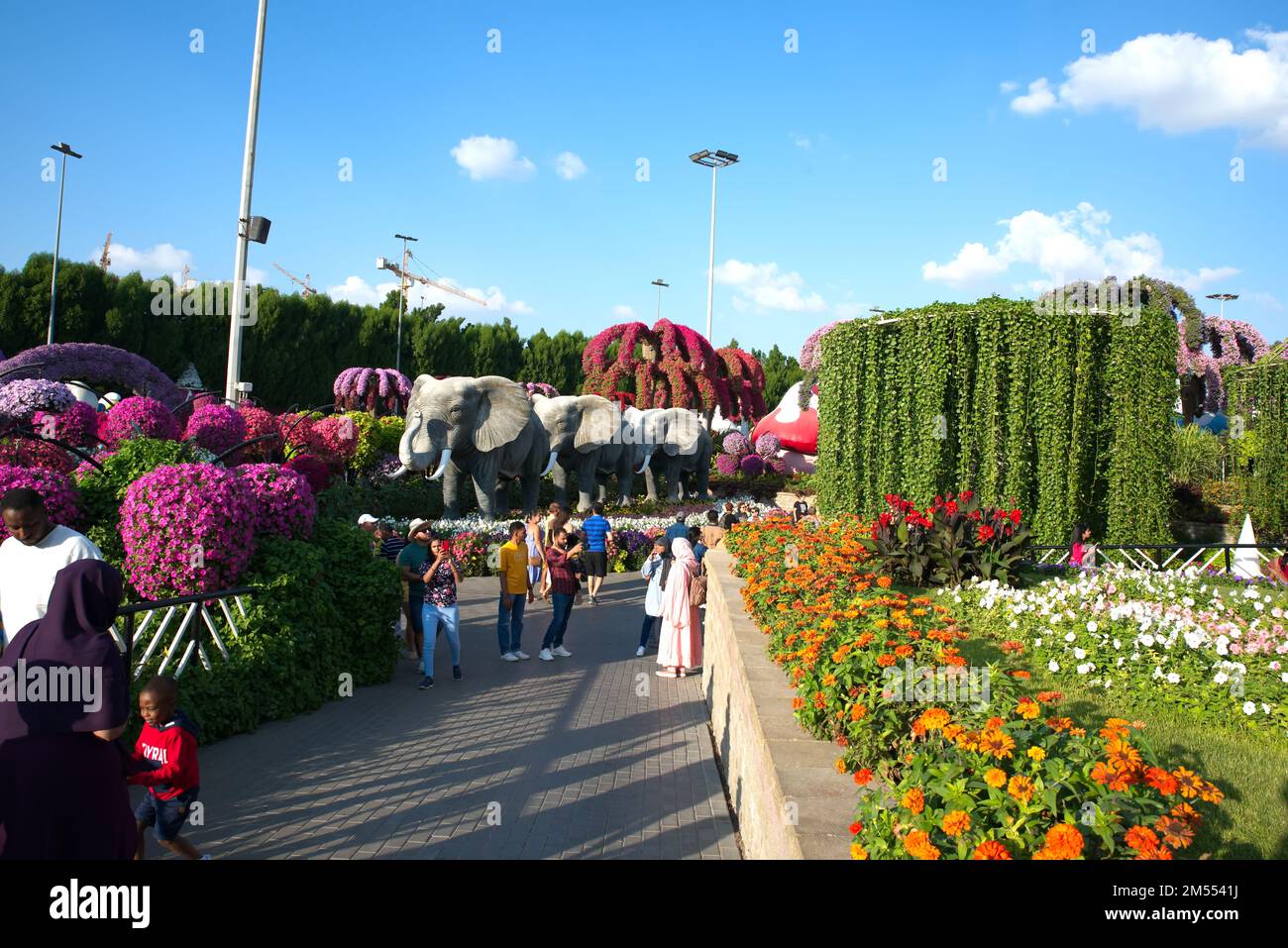 Dubai, Vereinigte Arabische Emirate, 11. Dezember 2022, Dubai Miracle Garden befindet sich im Stadtteil Dubailand und ist einzigartig in der Region und der Welt Stockfoto