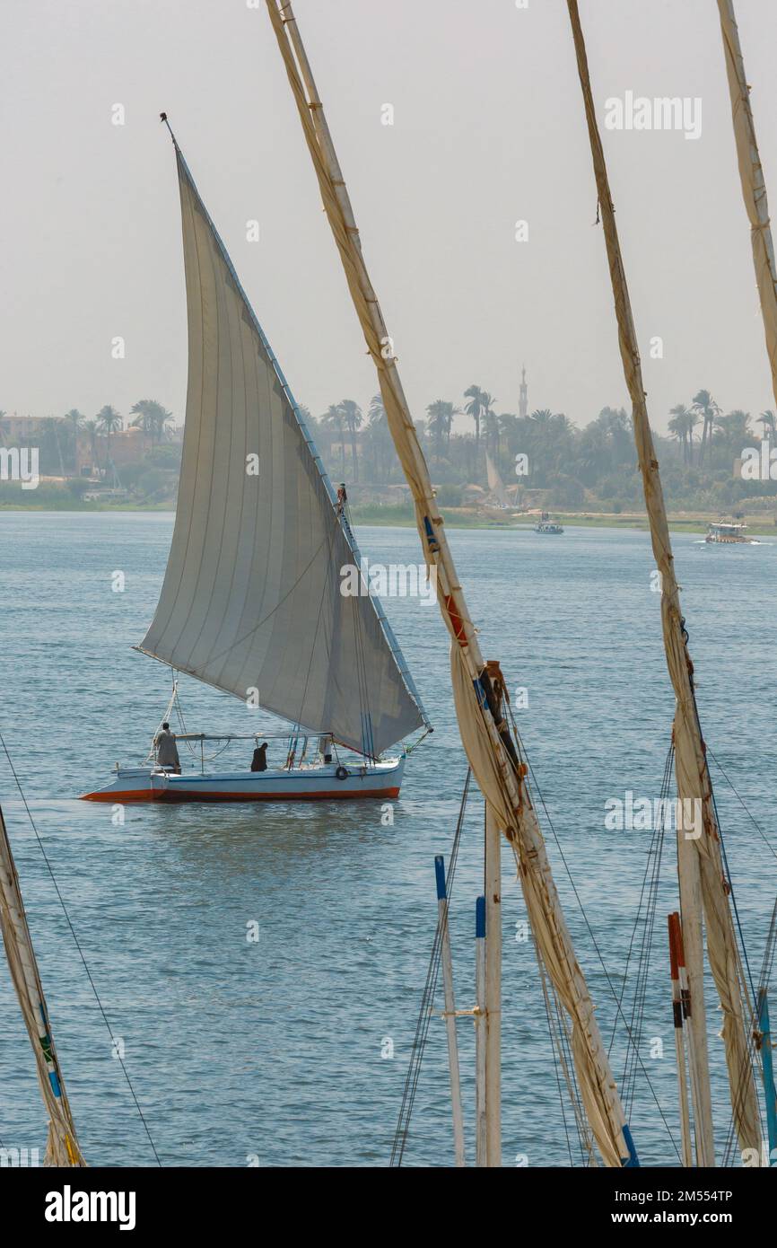 (Flussschiff) Feluke auf dem Nil mit der Sahara hinter in Assuan, Egipt. Stockfoto