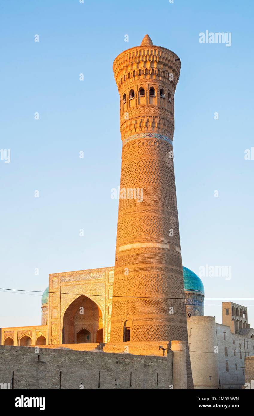 Kalan-Minarett und mir-i-arabische Madrasa von Po-i-Kalan (POI Kalan) - islamischer religiöser Komplex in Bukhara. Usbekistan Stockfoto