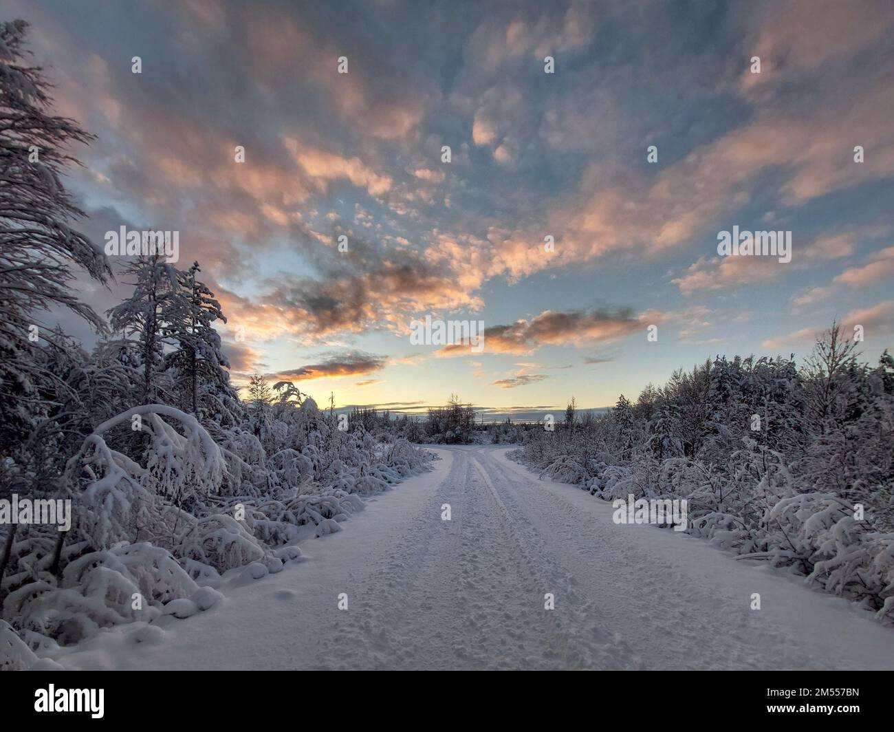 Spuren im Schnee vor dem wunderschönen Winterabendhimmel. Stockfoto