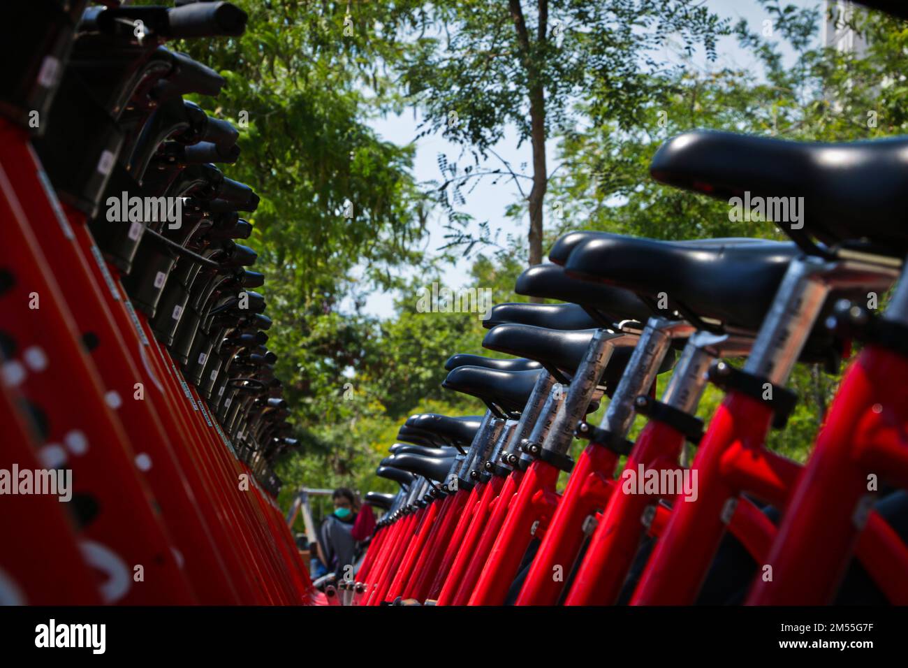 Ein kleiner Winkel von einer Reihe roter Fahrräder mit schwarzen Sitzen, die auf einem Regal geparkt sind Stockfoto