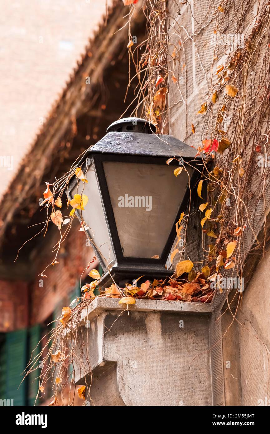 Alte urbane Lampe an der Gebäudewand mit hellen, gelben Herbstfarben. Magische Aussicht Stockfoto