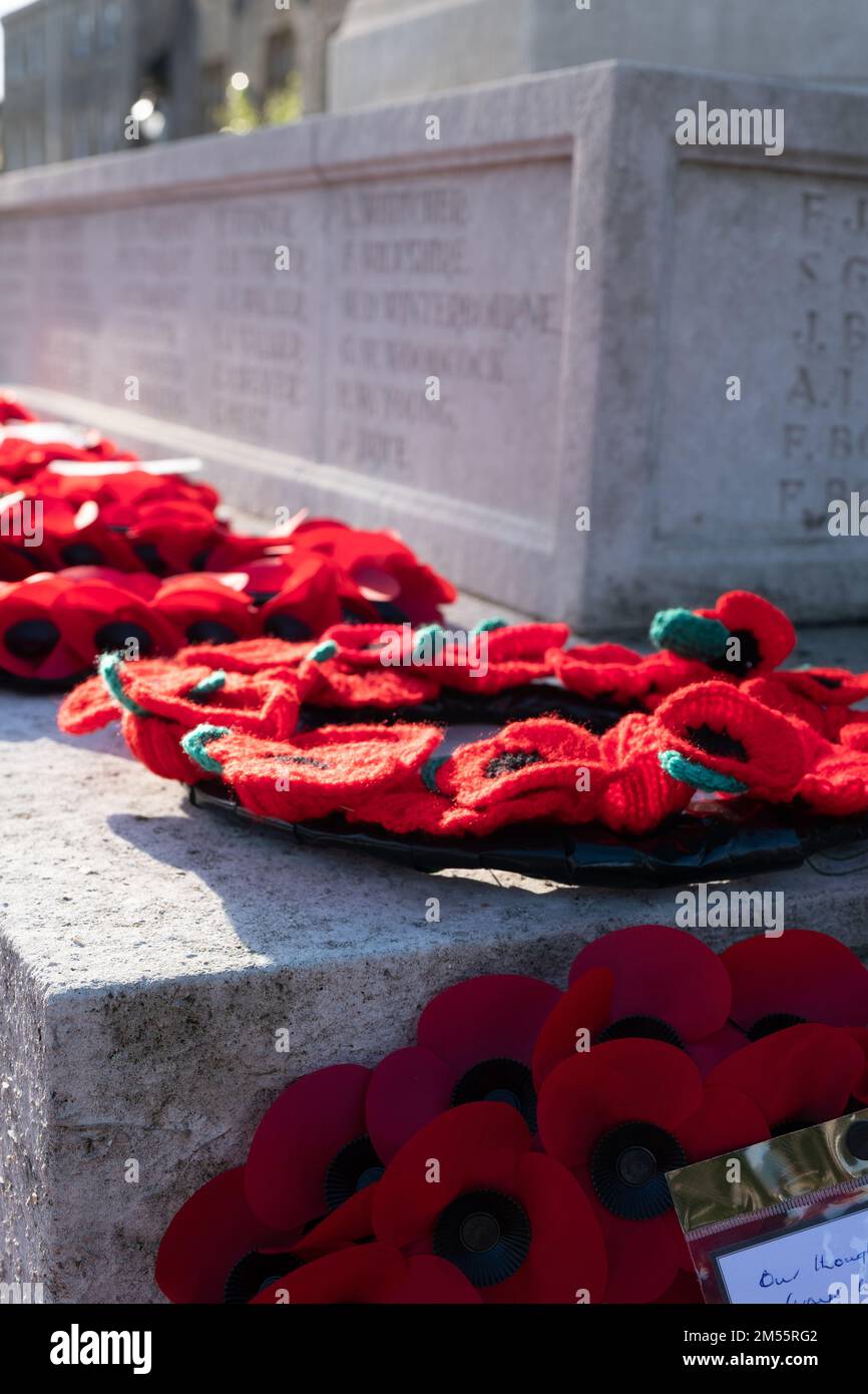 Ein vertikaler Schuss mit roten Zierblumen unter dem Sonnenlicht - Mohnblumen am Remembrance Day Stockfoto