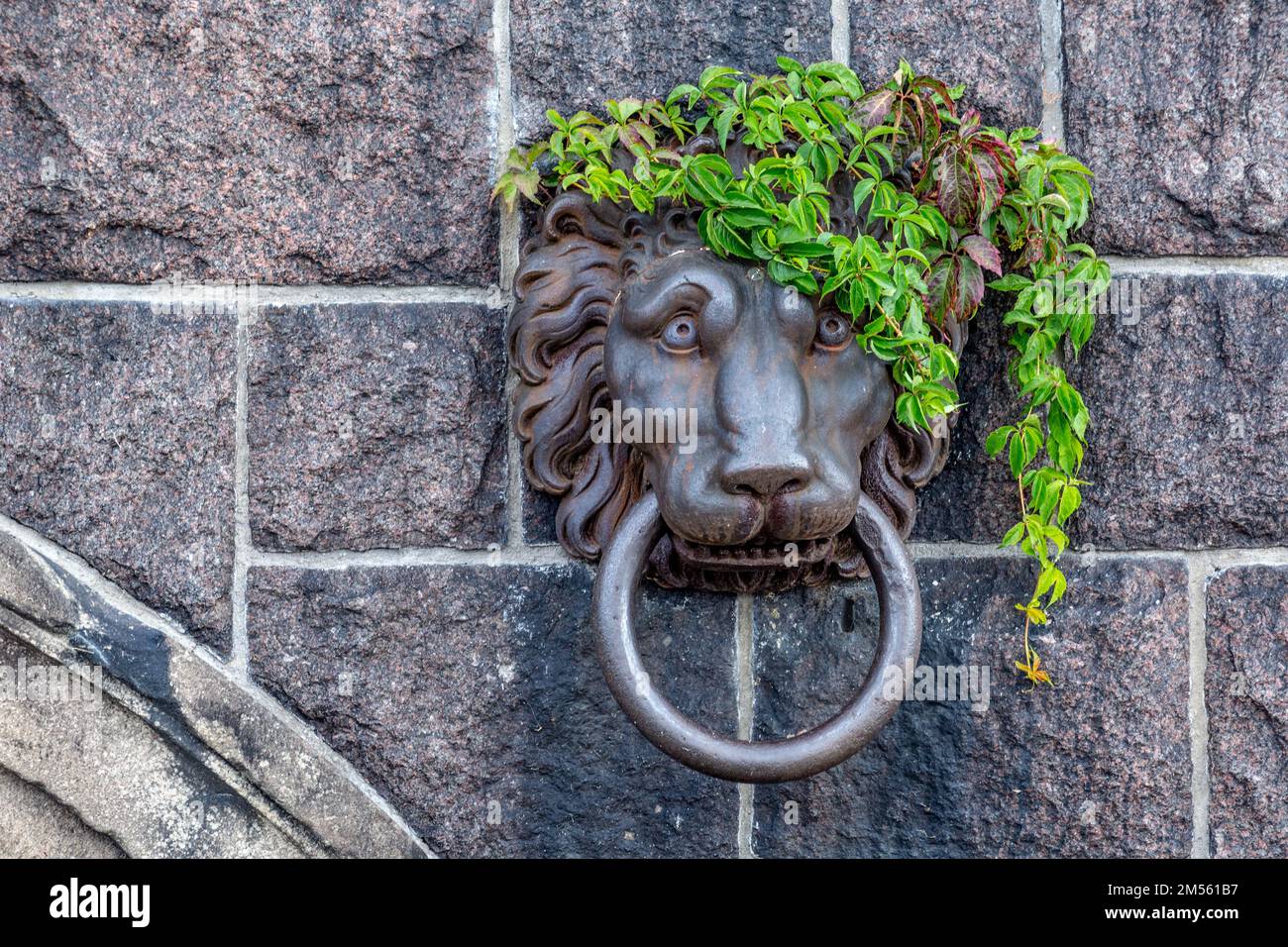 Eine Nahaufnahme eines metallischen Löwentürklopfers an einer Steinwand Stockfoto