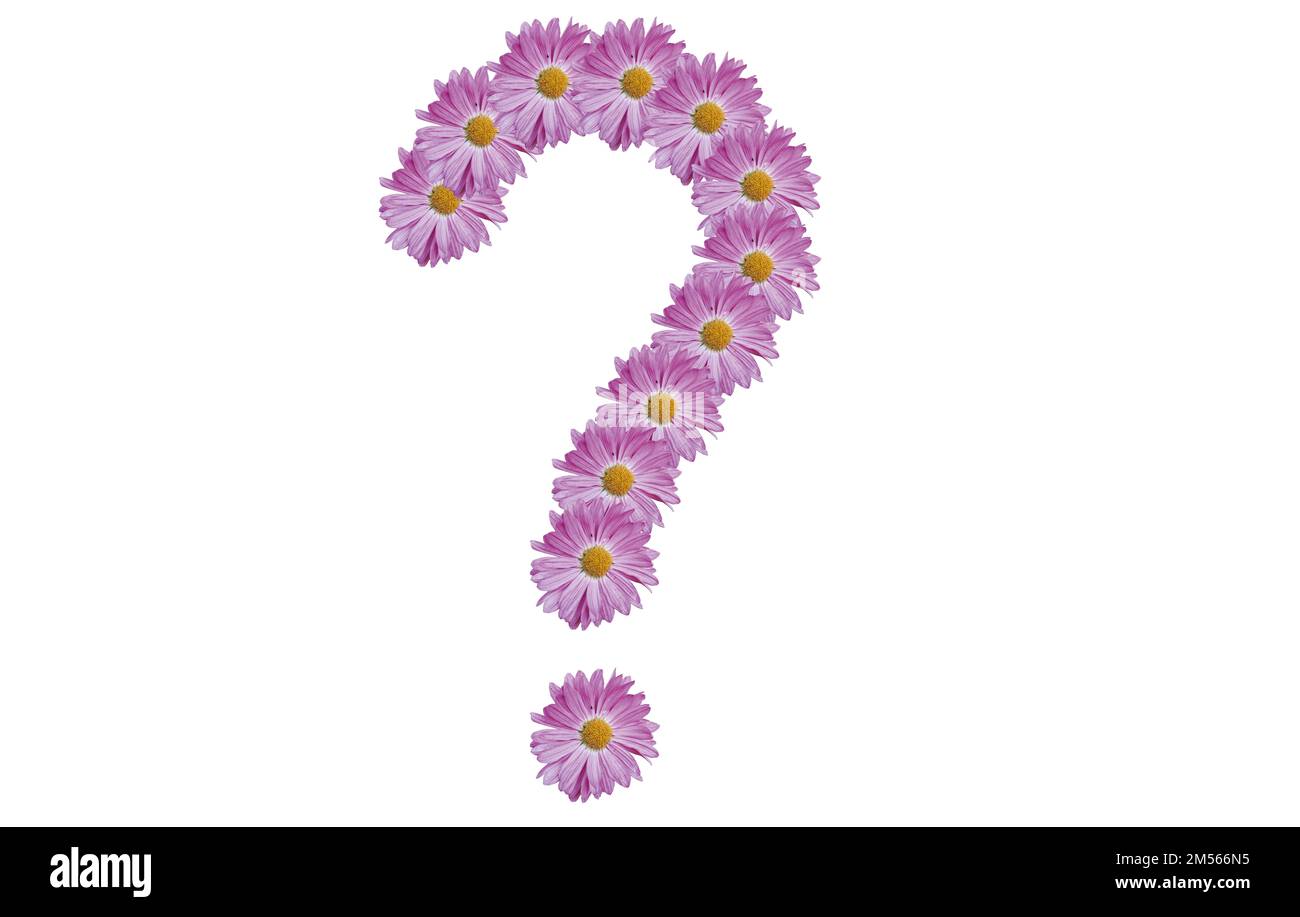 Fragezeichen aus rosafarbener Blume, isoliert auf weißem Hintergrund. Blütentypographie. Konstruktionselement. Stockfoto