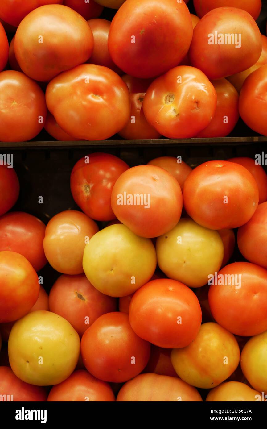 Frische Tomaten zum Verkauf in einem Geschäft vor Ort Stockfoto