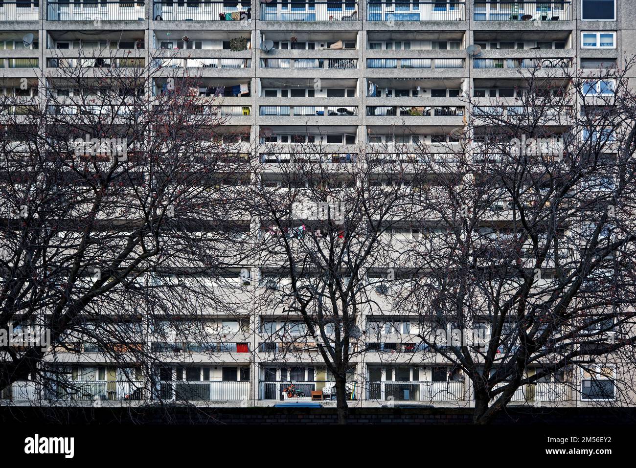 Cable Wynd House, besser bekannt als Leith Banana Flats in Leith Edinburgh, erbaut zwischen 1962 und 1965. Stockfoto