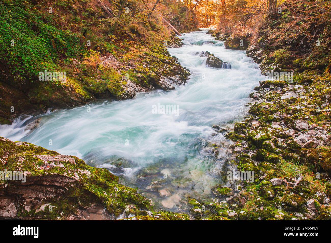 Bergfluss in der malerischen Vintgar-Schlucht im Herbst Sloweniens Stockfoto