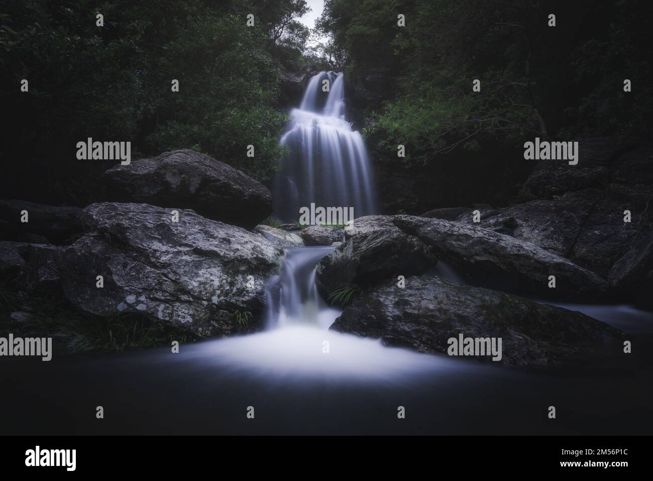 Ein schmaler Wasserfall im Wald Stockfoto