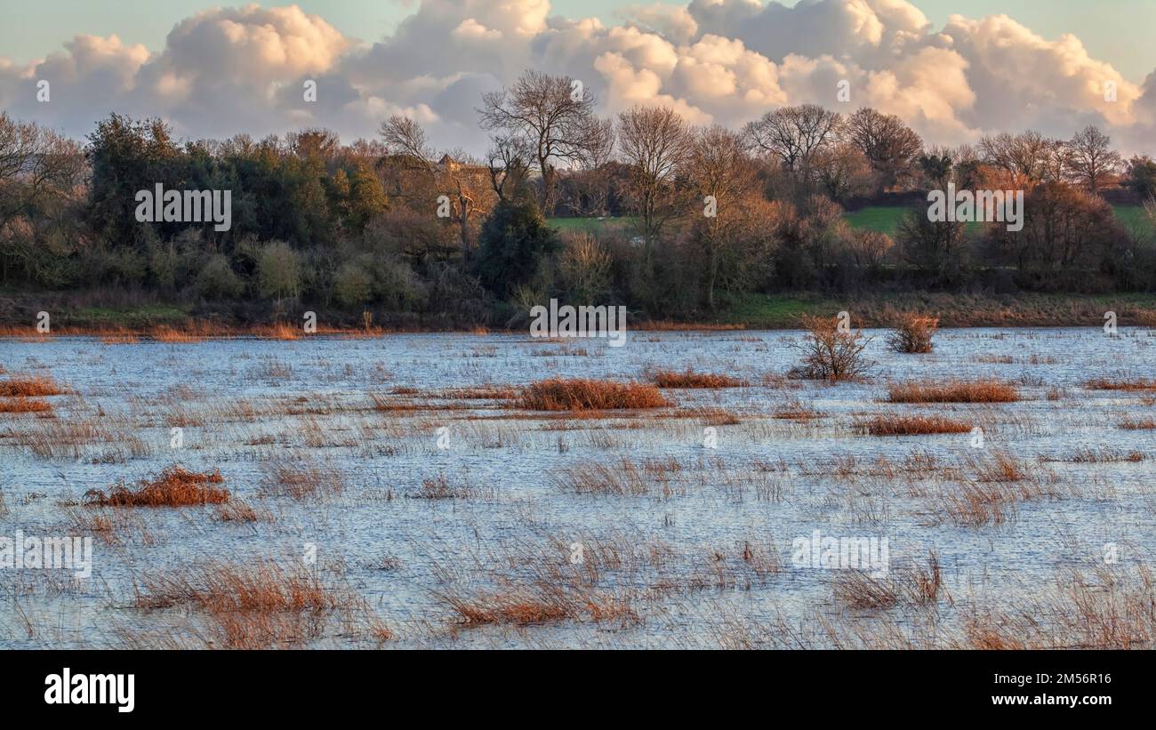 Überschwemmungsgebiete des Flusses Adur in Sussex Stockfoto