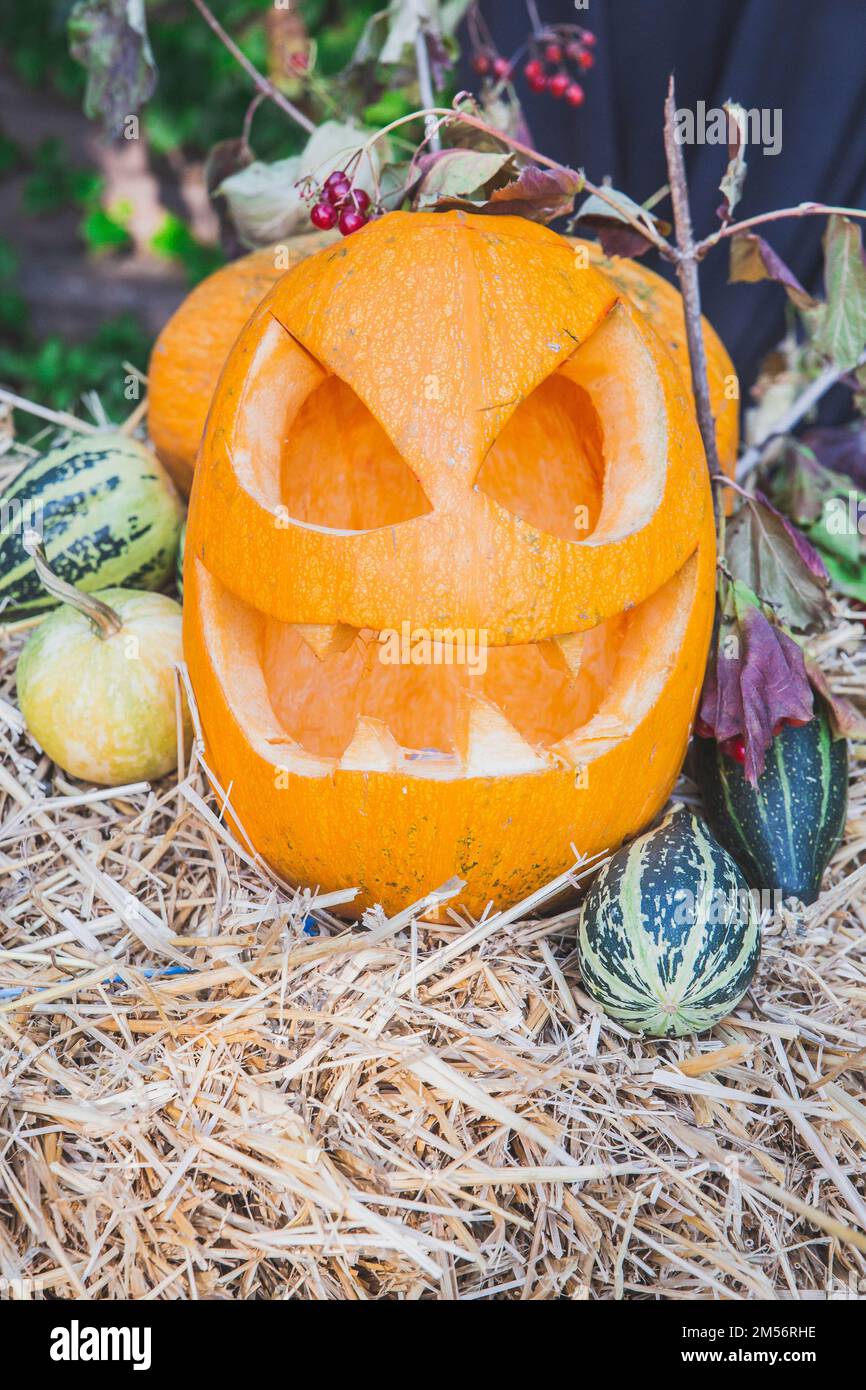 Kürbis mit Gesicht liegt an Halloween auf einem Heuhaufen Stockfoto