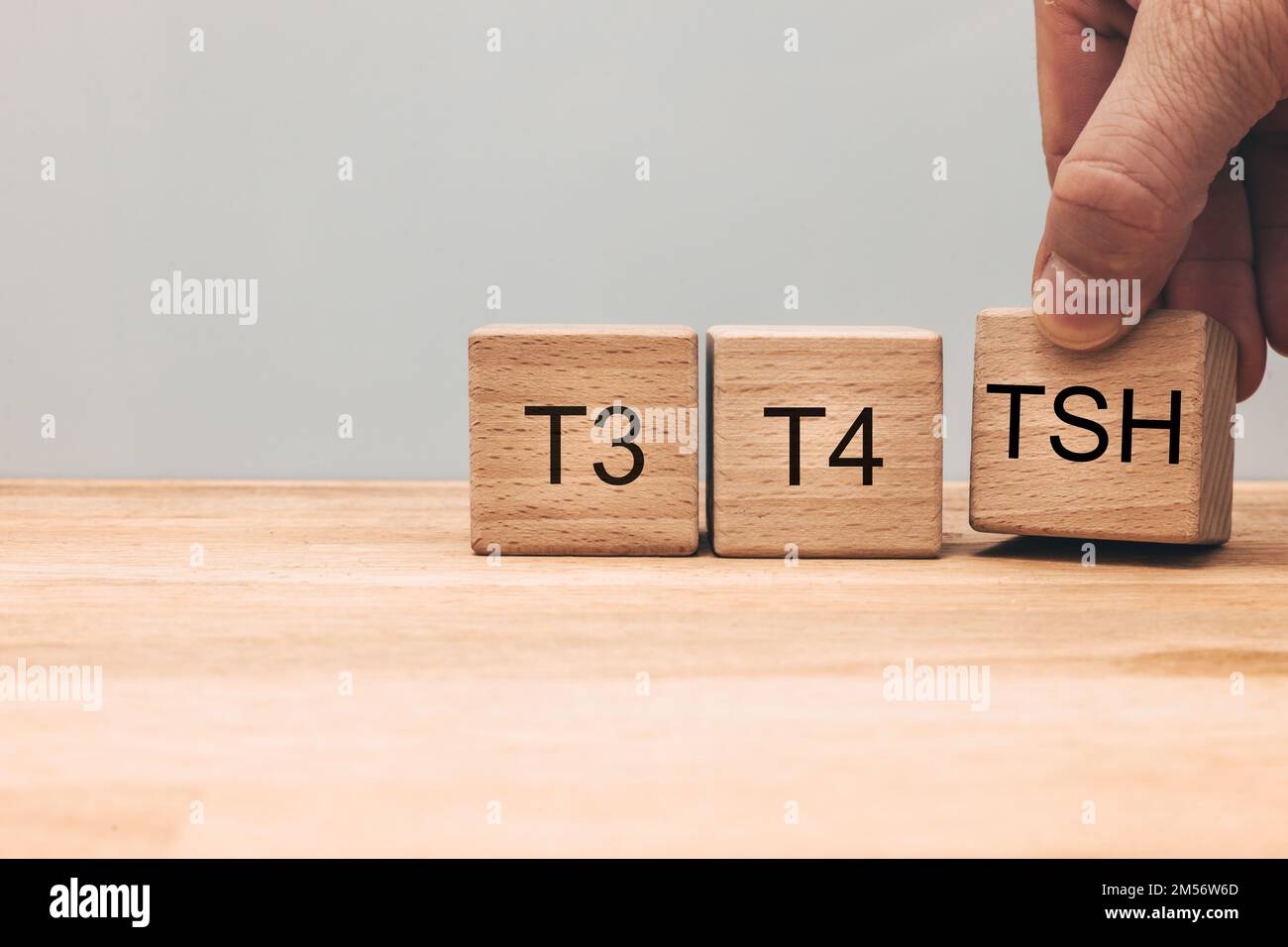 TSH, Diagnose von Schilddrüsenerkrankungen, medizinische Untersuchung von T3 und T4, Produktion und Sekretion von Hormonen, Hypothyreose oder Hyperthyreose, Holz Stockfoto