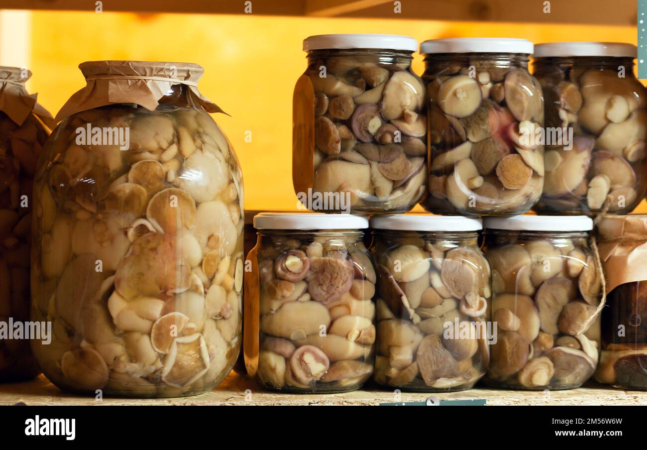 Glasgläser mit hausgemachten marinierten Pilzen stehen an der Kasse auf dem Bauernmarkt nebeneinander Stockfoto