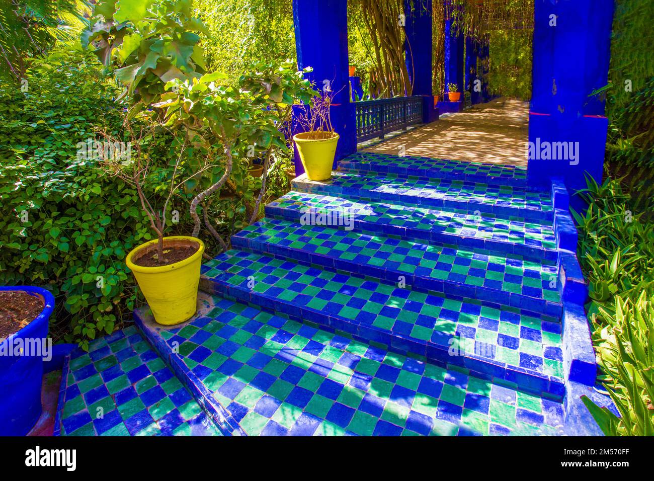 Eine offene Veranda (Gasse) mit Kletterweinen im Majorelle-Garten in Marrakesch: Auch Orange- und Gelbtöpfe mit Pflanzen und herrlichen marokkanischen Fliesen Stockfoto