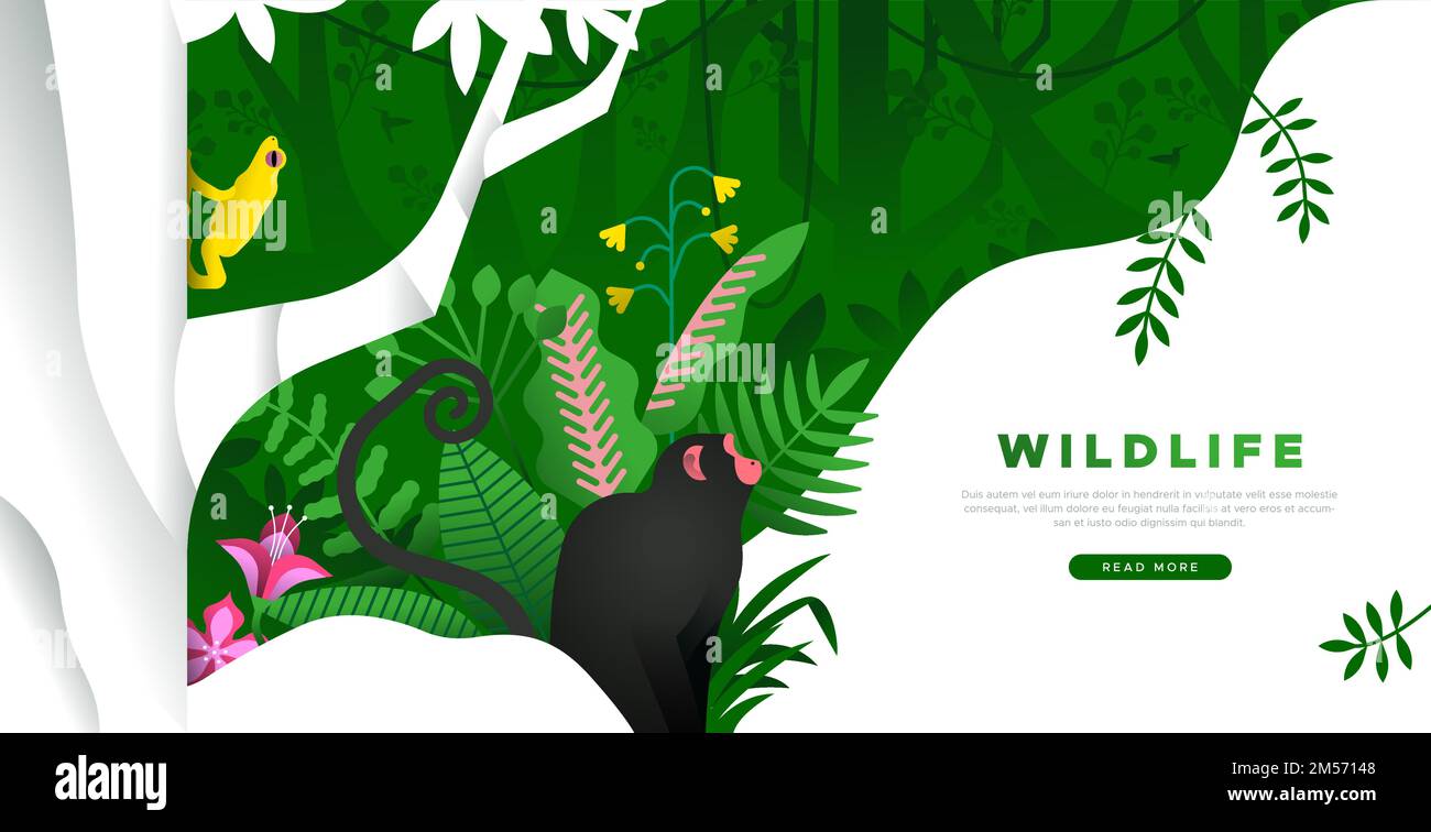 Abbildung der Landing Page-Vorlage für Wildtiere. Dschungelumgebung mit verschiedenen Pflanzenblättern, Affentier und Frosch im Baum. Online Regenwald conservatio Stock Vektor
