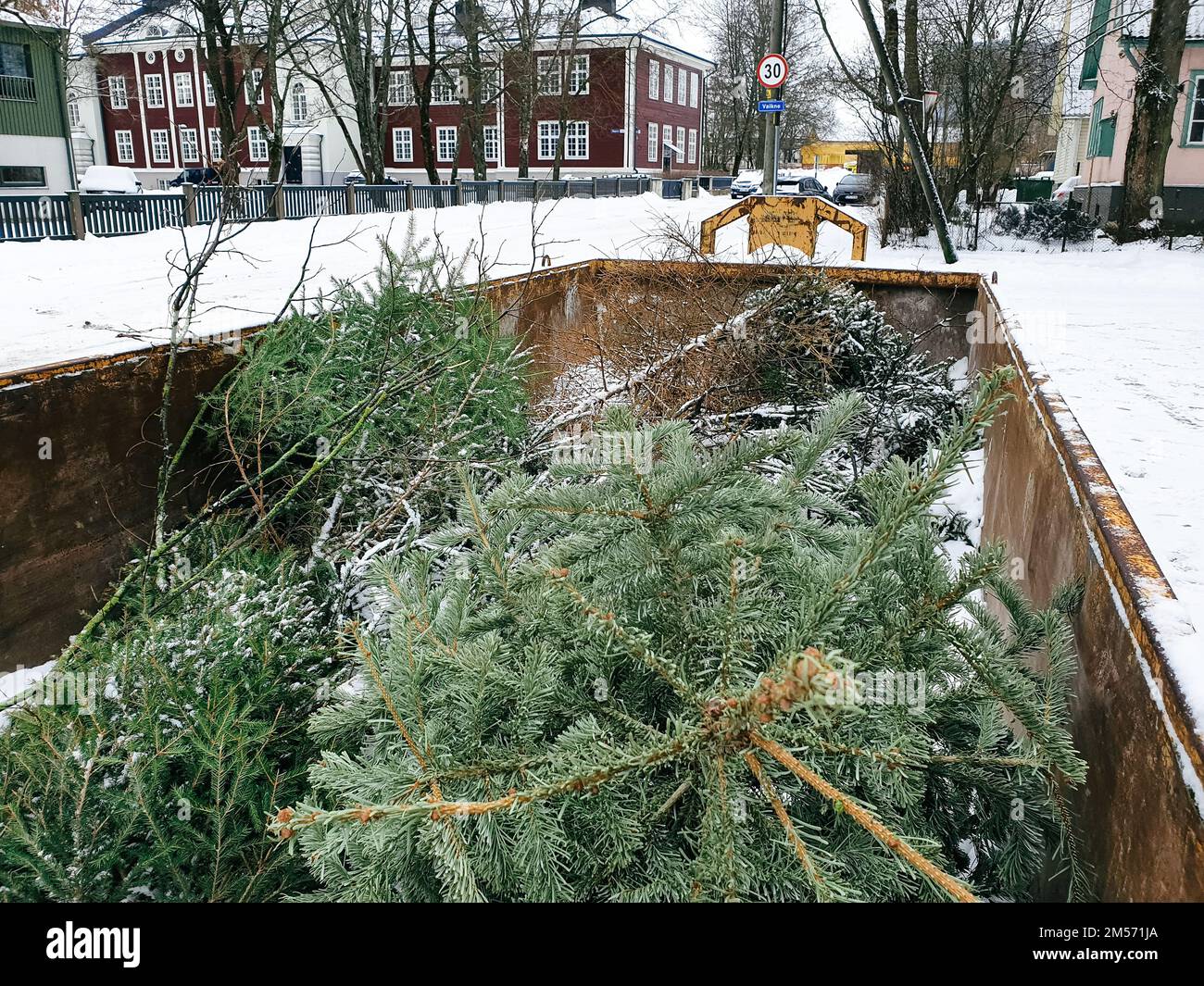 Tallinn, Estland - 22. Januar 2022: Großer Müllcontainer auf einer Stadtstraße, damit die Menschen ihre alten Weihnachtsbäume mit reinbringen können. Kostenloser kommunaler Service Stockfoto