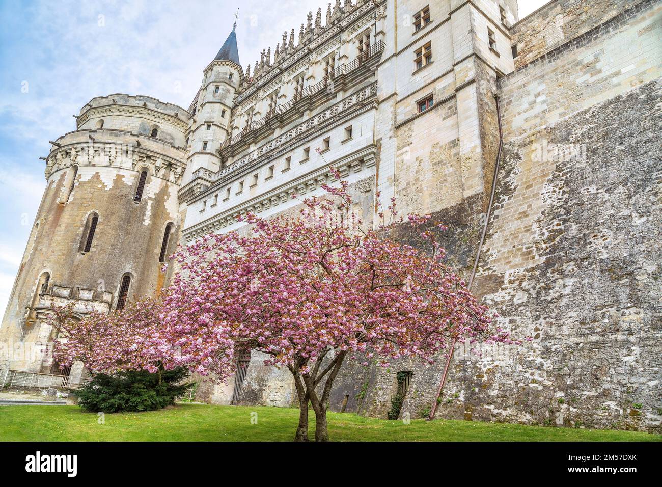 Außenansicht des Château d'Amboise im Frühling, Loire-Tal, Frankreich Stockfoto