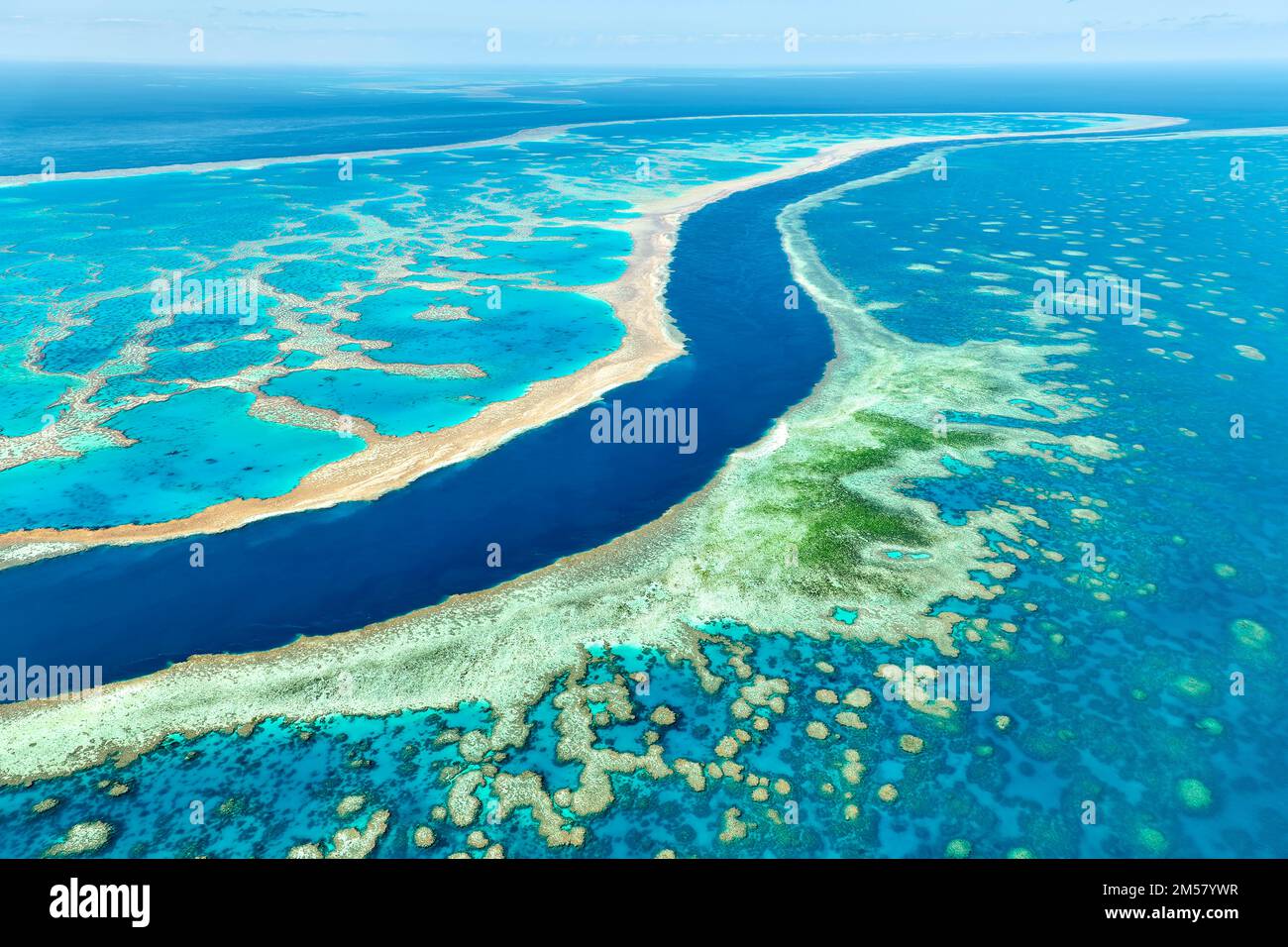 Whitsunday-Inseln. Great Barrier Reef. Queensland. Australien Stockfoto