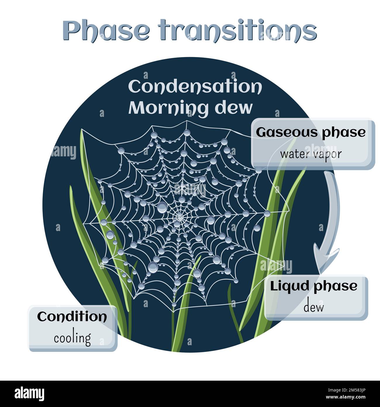 Zustandsänderungen. Teil 4 von 6. Wasserkondensation - Morgentau. Phasenübergang vom gasförmigen in den flüssigen Zustand. Informative Infografiken. Cartoon vec Stock Vektor