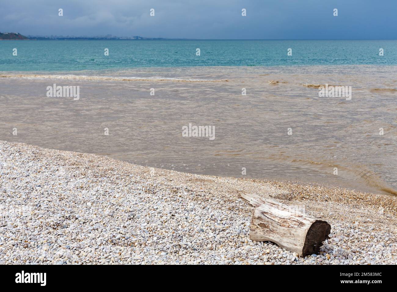 Der alte Baumstamm liegt am leeren Strand, an der Schwarzmeerküste, auf der Krim Stockfoto