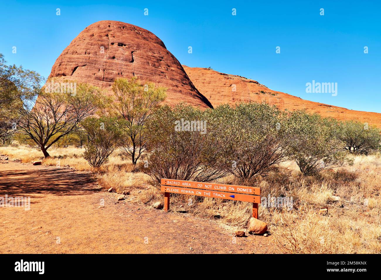 Kata Tjuta. Die Olgas. Nördliches Territorium. Australien Stockfoto