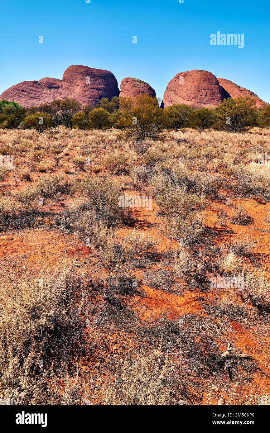 Kata Tjuta. Die Olgas. Nördliches Territorium. Australien Stockfoto