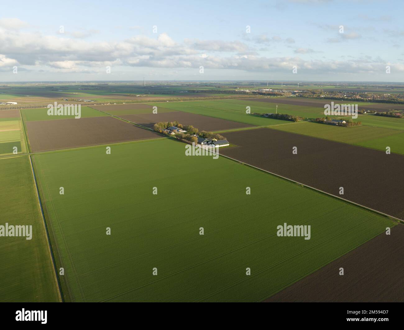 Landwirtschaft modernes Bauernhaus in einem weitläufigen, leeren, grünen Feld. Panoramaantenne über dem Kopf, weite, offene Sicht. Stockfoto