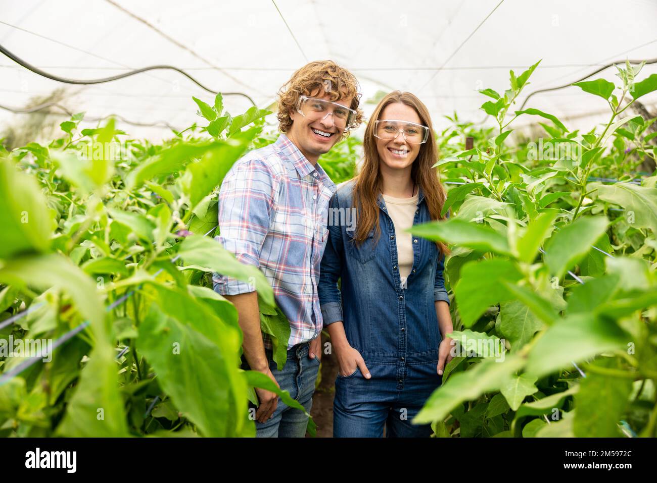 Zwei freudige Landwirtschaftler in Schutzbrille, die im Treibhaus stehen Stockfoto