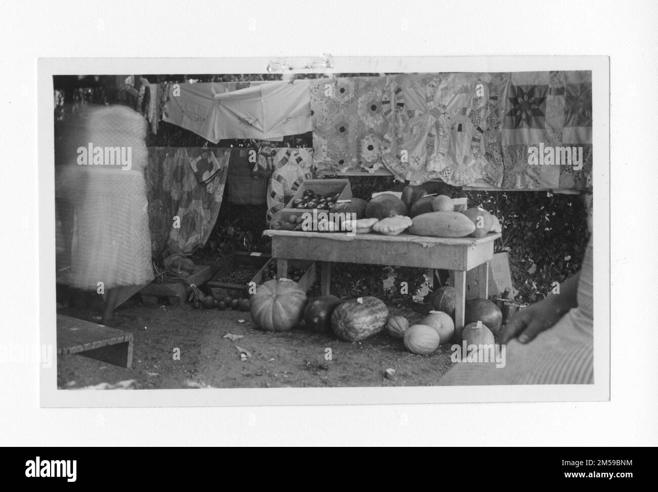 Originalunterschrift: "Ausstellung in Rincon Res. Fiesta und Fair. Landwirtschafts- und Kunstausstellung. Dies ist das erste Mal seit mehreren Jahren, dass im Zusammenhang mit einer Fiesta ein Jahrmarkt versucht wird." 1936 - 1942. Pazifikregion (Riverside, Kalifornien). Fotodruck. Innenministerium. Büro für Indianerangelegenheiten. Missionsbehörde. 11/15/1920-6/17/1946. Fotos Stockfoto