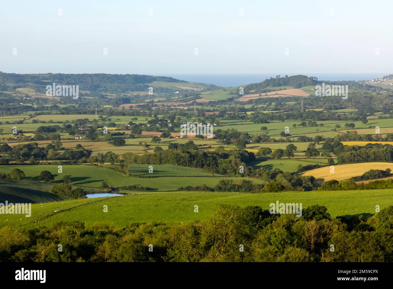 England, Dorset, Blick auf die Dorset-Landschaft von Pilsdon Pen *** Lokale Bildunterschrift *** Großbritannien,Britisch,Countryside,Dorset,England,English,Farmland,FI Stockfoto