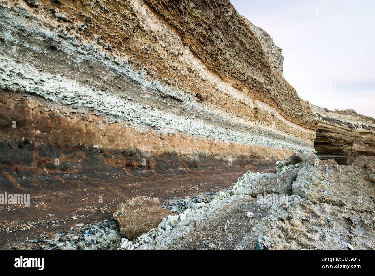 An der Atlantik-Küste bei Puerto San Julian in Argentinien, Patagonien. Stockfoto