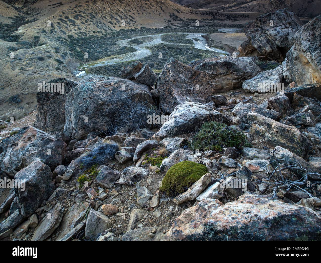 Beim Flus Rio Matas Negras o Turbio in Patagonien, Argentinien. Stockfoto