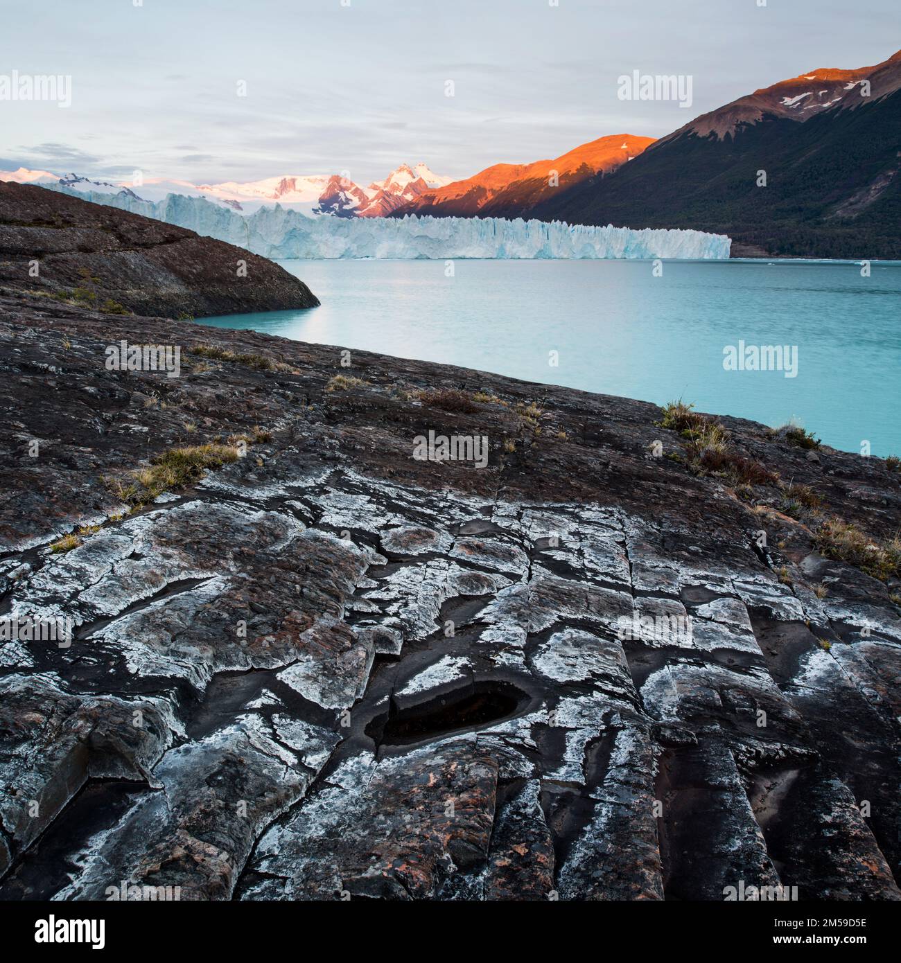 Im Los Glaciares Nationalpark in Süd-Patagonien, Argentinien. Stockfoto