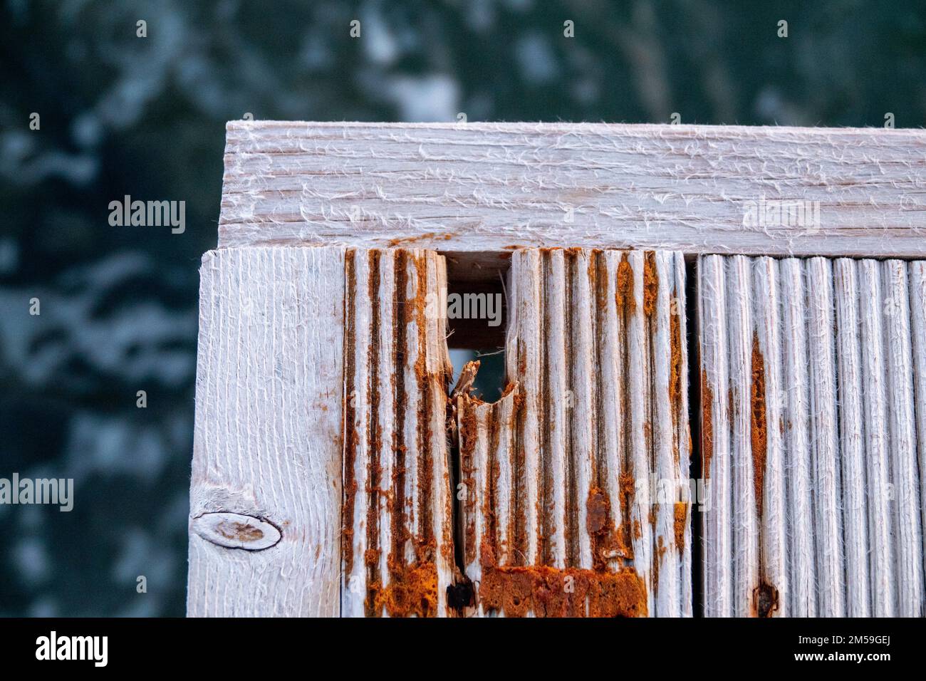 Ein Stück Holz, weiß lackiert und im natürlichen Leben rostig, grüner Naturhintergrund. Stockfoto