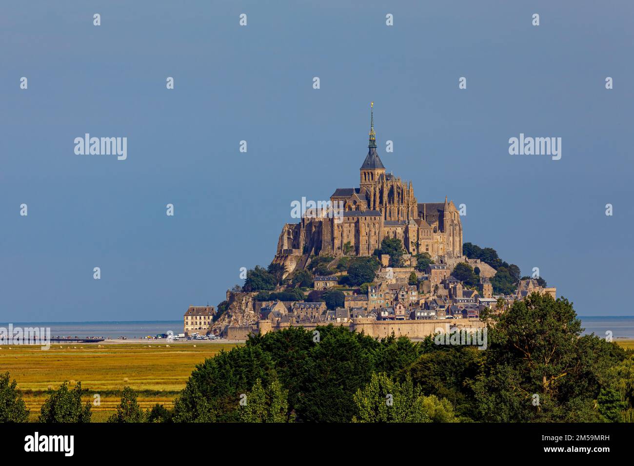 Der Mont Saint Michel in der Normandie Frankreich Stockfoto