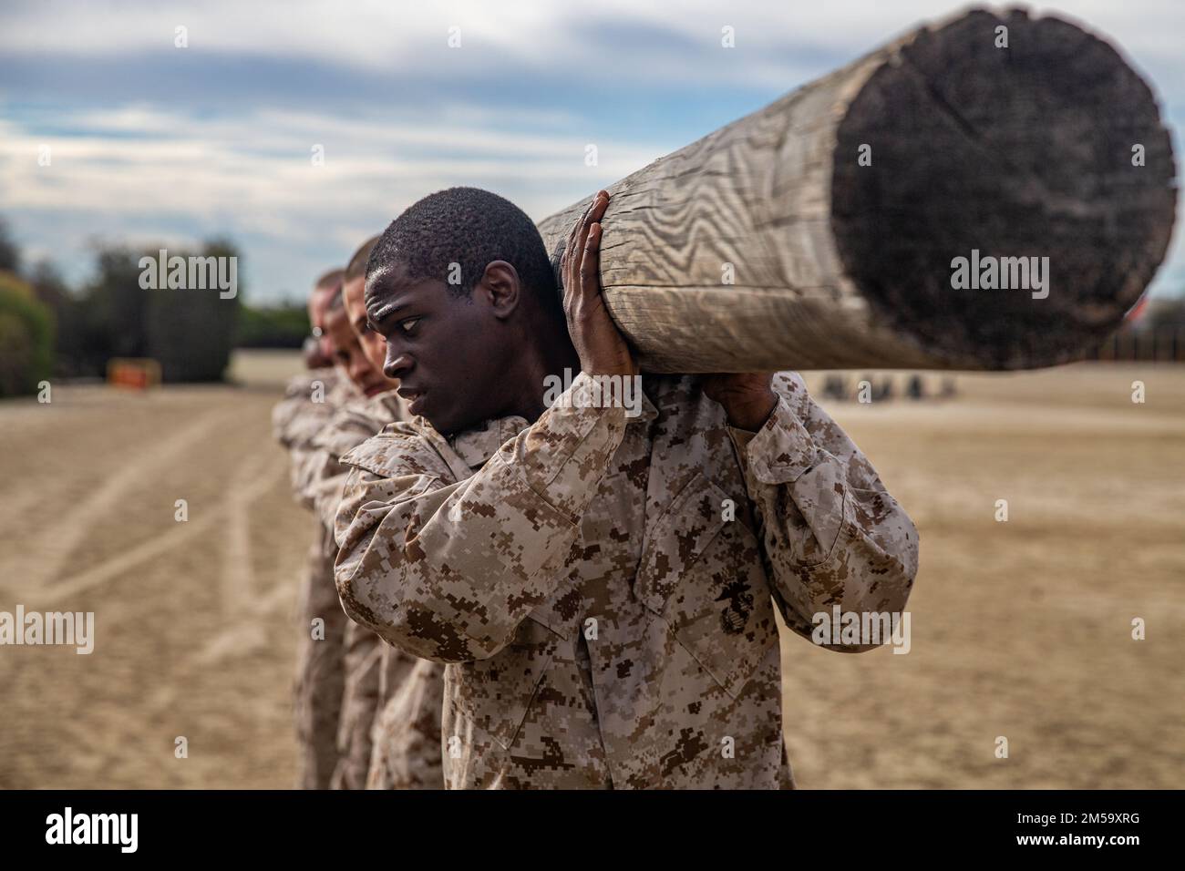 Holzbohrer Der Firma Bravo Stockfoto