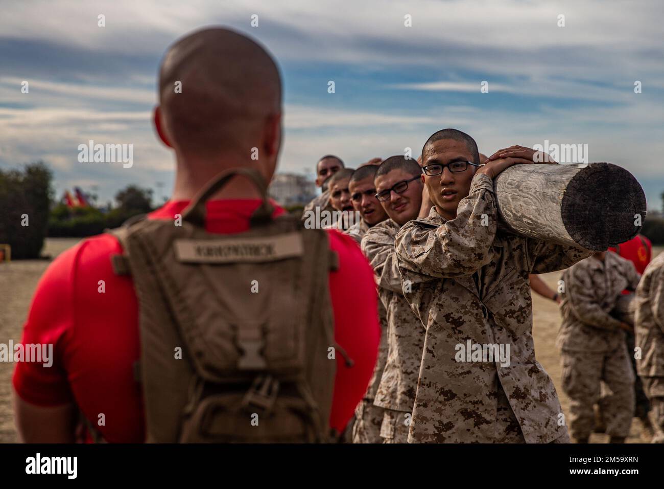 Holzbohrer Der Firma Bravo Stockfoto