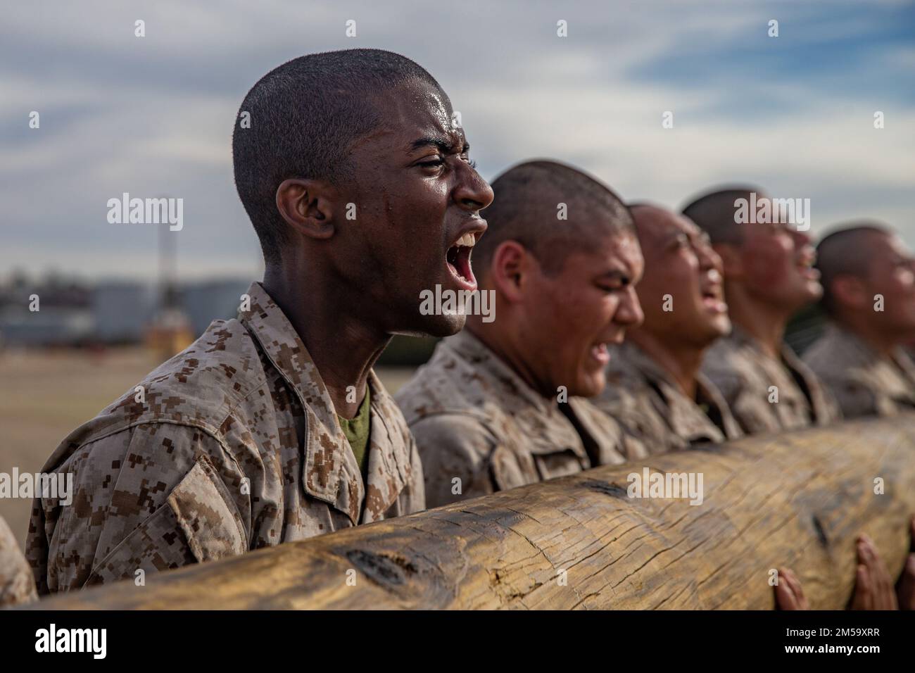 Holzbohrer Der Firma Bravo Stockfoto