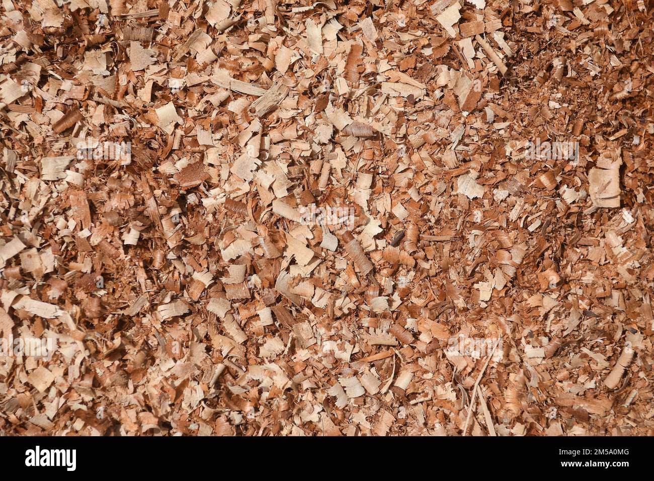 Holzsägemehl auf dem Boden Stockfoto