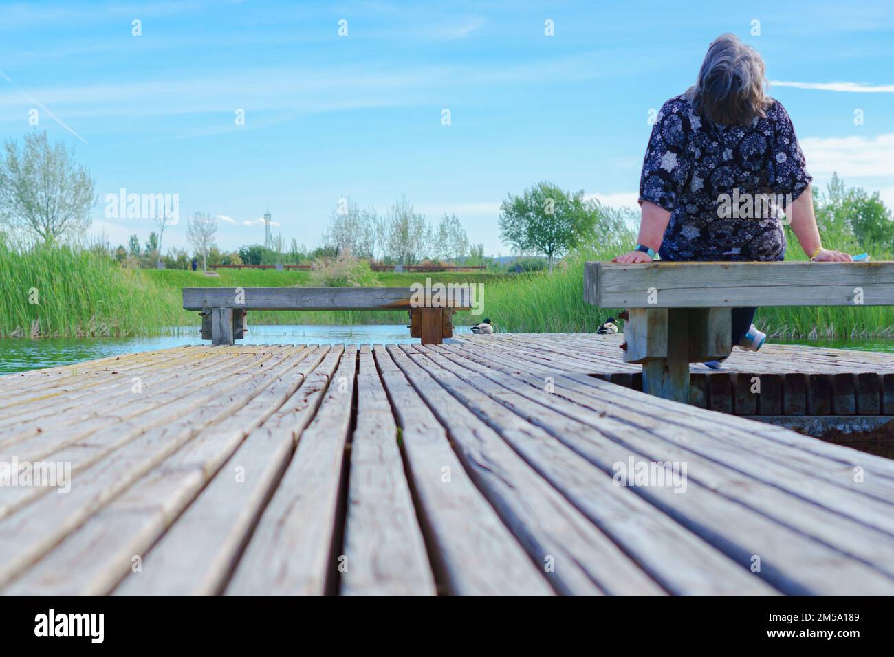 Eine Frau, die auf einer Bank auf einem See-Dock sitzt und auf den blauen Himmel schaut Stockfoto