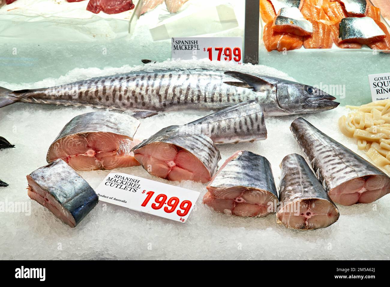 Sydney. New South Wales. Australien. Der Fischmarkt. Frische Makrele Stockfoto