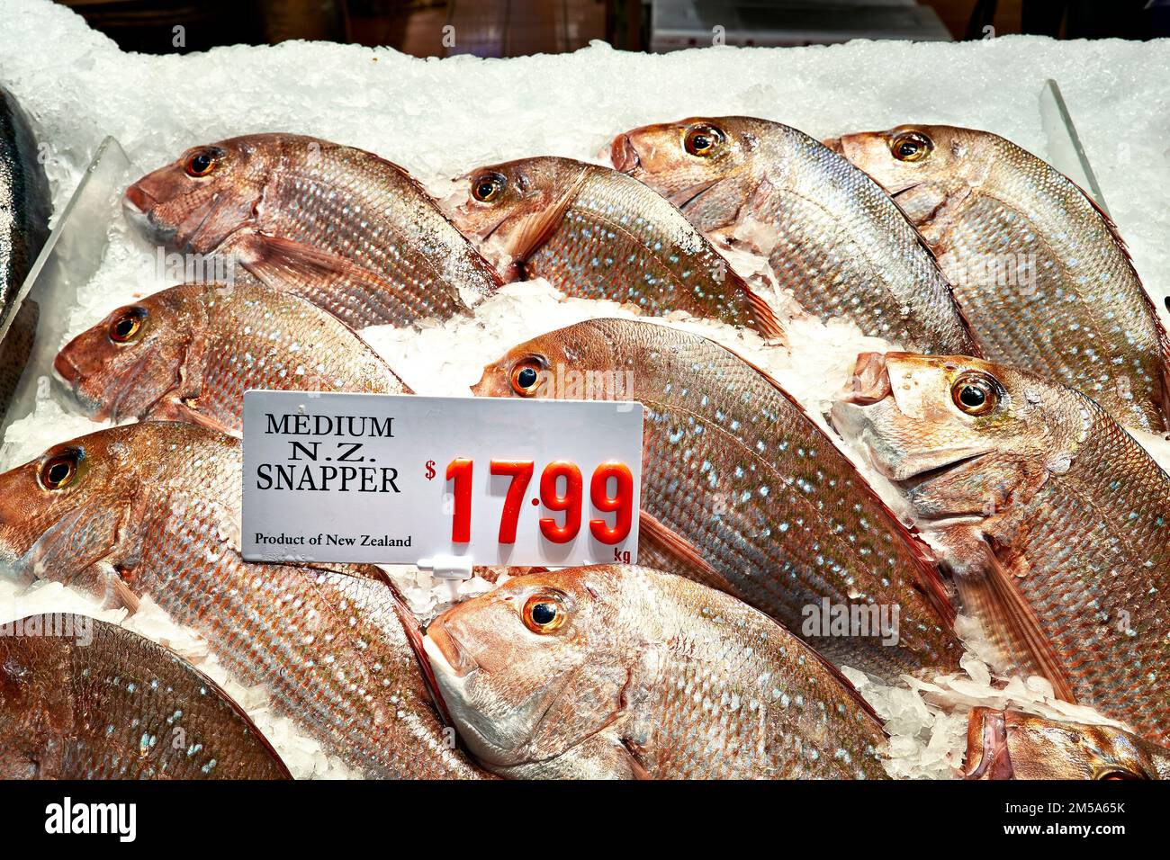 Sydney. New South Wales. Australien. Der Fischmarkt. Frischer Schnapper Stockfoto