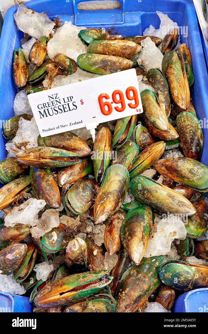 Sydney. New South Wales. Australien. Der Fischmarkt. Grüne Lippenmuscheln Stockfoto