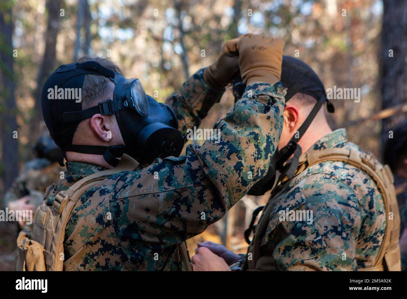 USA Marines mit der 24. Marine Expeditionary Unit (MEU) passen ihre M50 Joint Service General Protective Masks während einer Individual Protective Equipment Confidence Übung in Camp Lejeune, N.C., 15. Februar 2022 an. Marines nehmen jährlich an dieser Übung Teil, um das Vertrauen in den Betrieb in potenziellen chemischen, biologischen, radiologischen und nuklearen Umgebungen zu stärken und diese zu beherrschen. Stockfoto