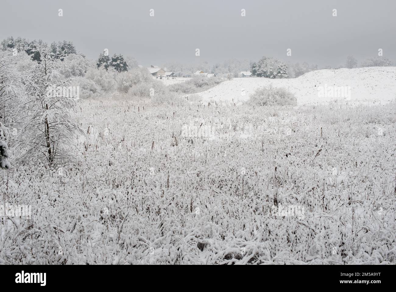 Winterlandschaft im Dorf Rakow, Bäume, Häuser und die Kirche sind mit Schnee bedeckt. Stockfoto