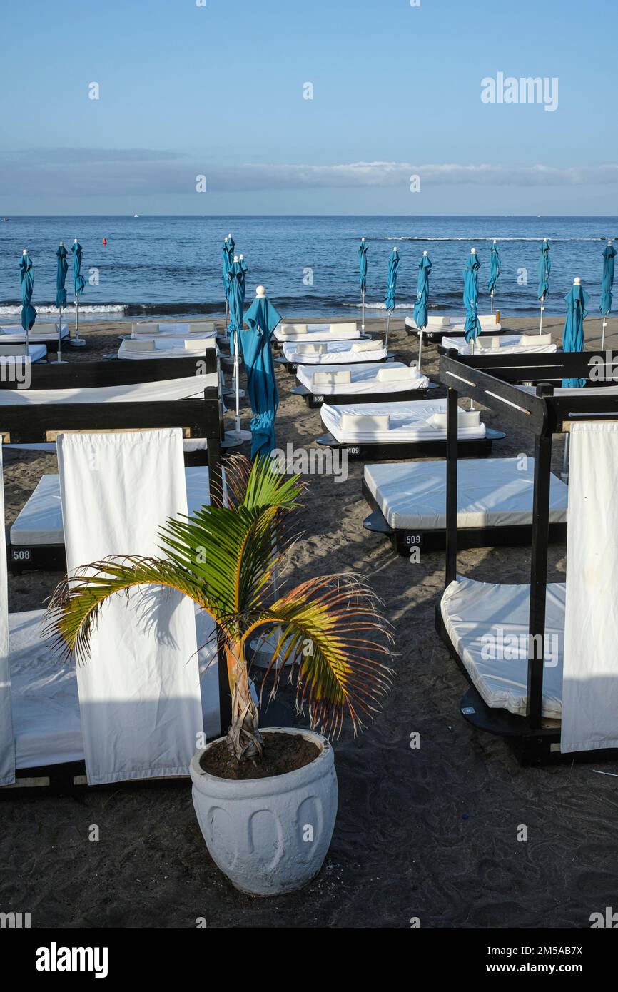 Am Strand von Fanabe, Las Americas, Teneriffa, Kanarische Inseln, Spanien, früh morgens leere Liegen Stockfoto