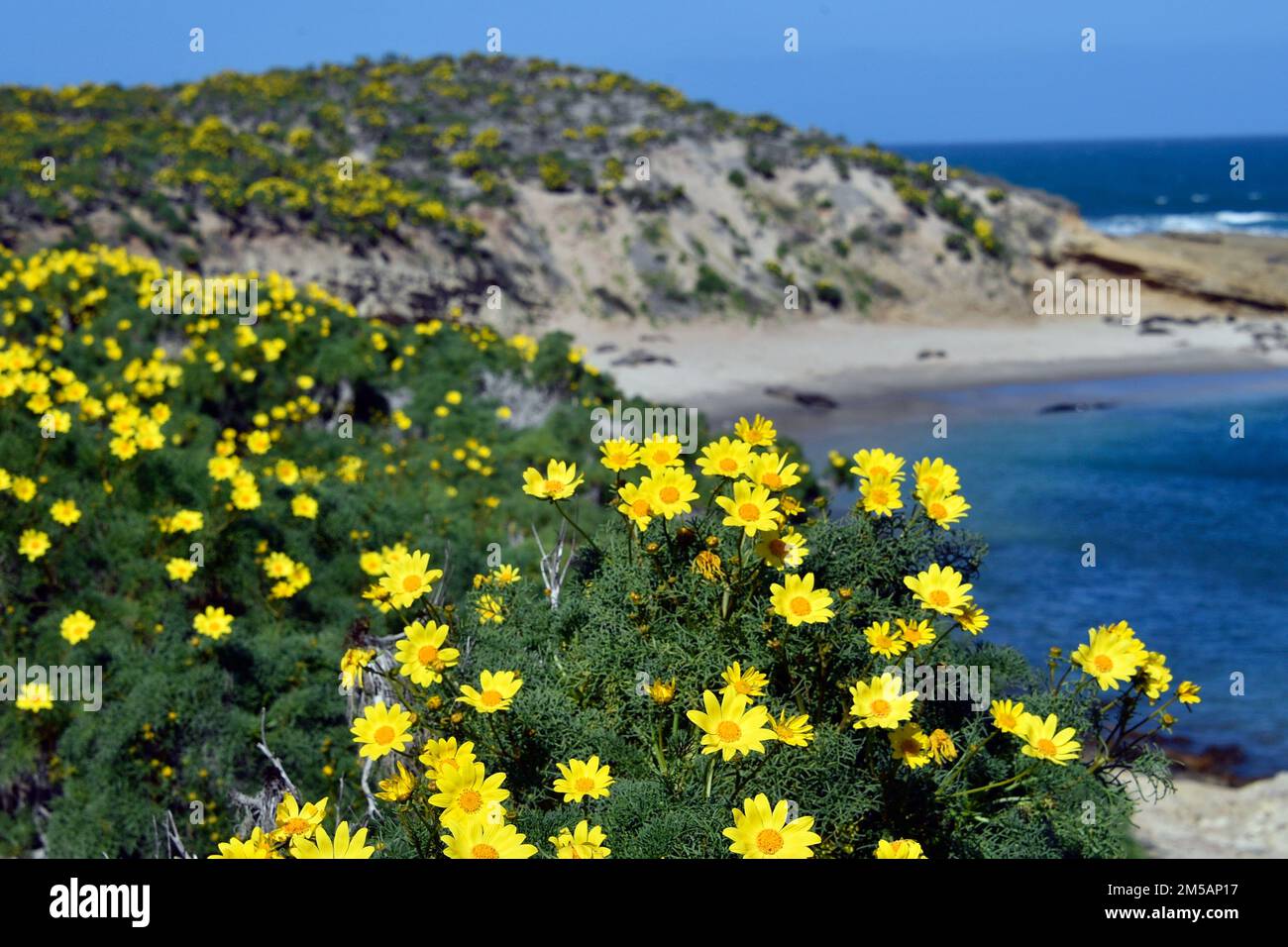 220216-N-AS200-3989 SAN NICOLAS ISLAND, KALIFORNIEN (16. Februar 2022) – Küstenblick auf San Nicolas Island (SNI) 16. Februar 2022. NBVC ist eine strategisch günstig gelegene Marineanlage, die aus drei Betriebsstätten besteht: Point Mugu, Port Hueneme und San Nicolas Island. NBVC ist die Heimat der Pacific Seabees, West Coast E-2C Hawkeyes, 3 Kriegsführungszentren und 80 Mieter. Stockfoto