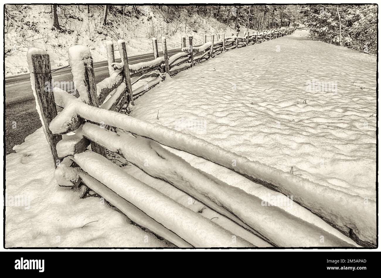 Ein Schwarzweißfoto eines frühen Frühlingsschnees im Great Smoky Mountains-Nationalpark. Das Bild hat einen rauen schwarzen Rand. Stockfoto